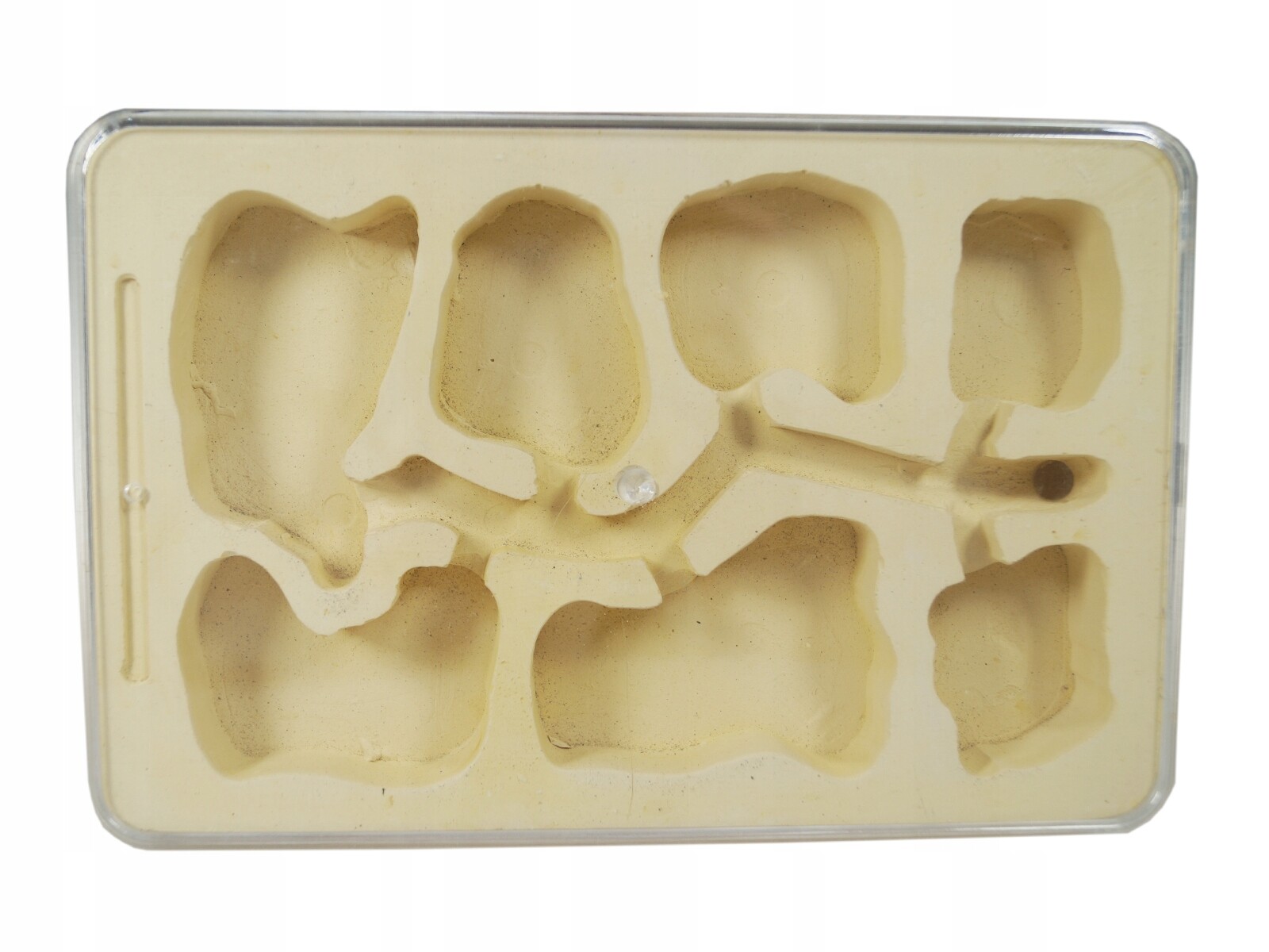 Sádrové hnízdo pro formikárium Terarijní modul pro mravence 185x120 mm