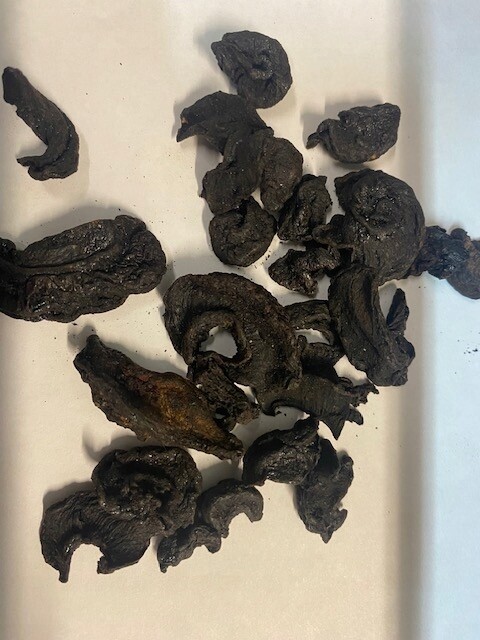 Garcinia Cambogia Ovoce 100 g Rafex