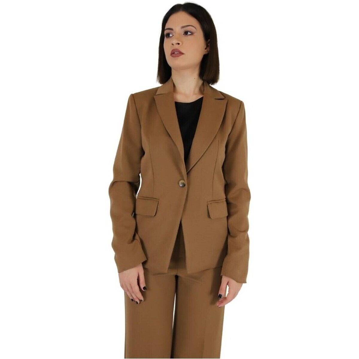 Zahjr  53538806  Hnědá