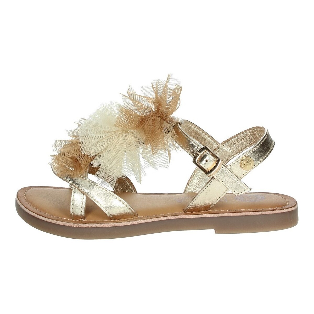 Gioseppo  TECATE  Zlatá