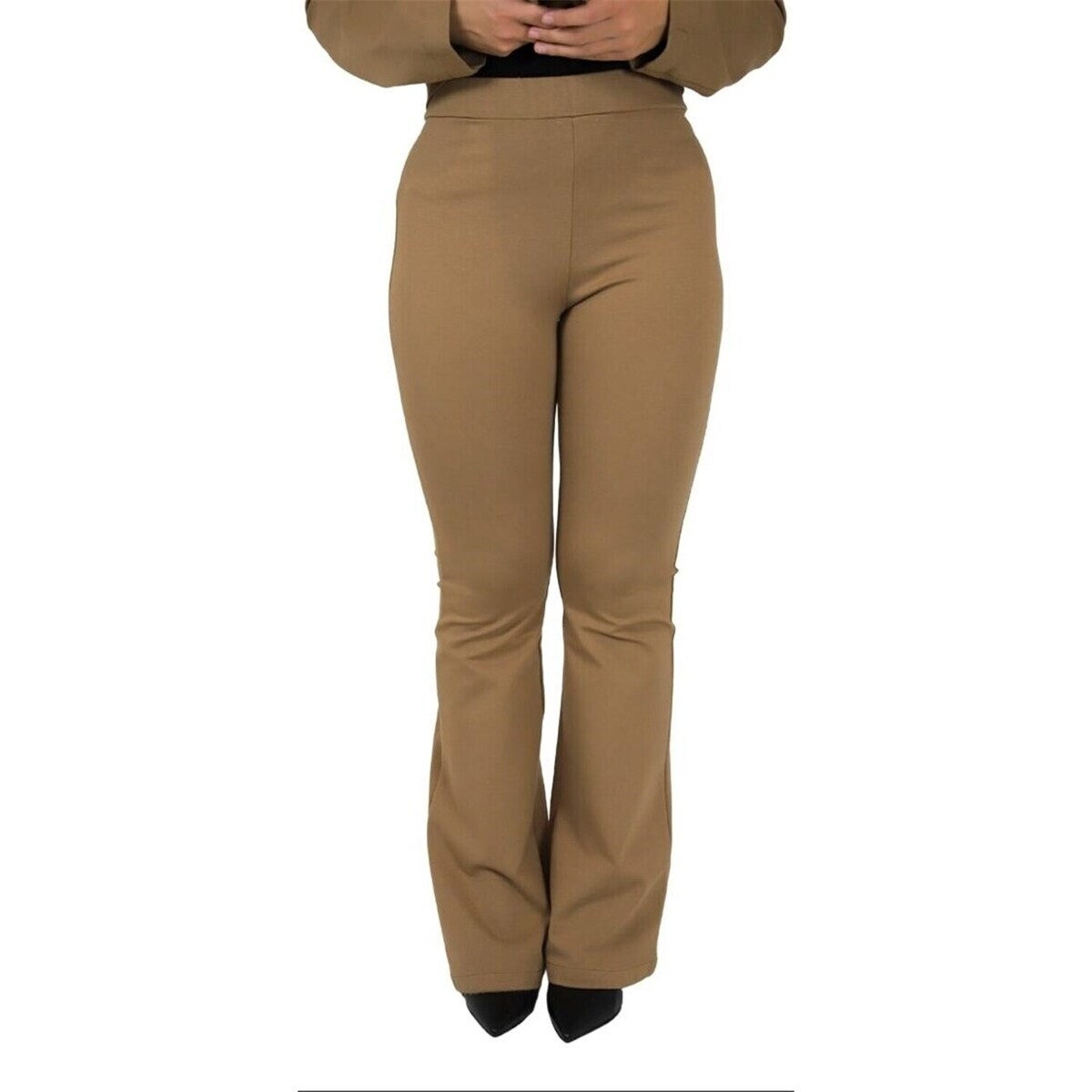 Zahjr  53539419  Hnědá