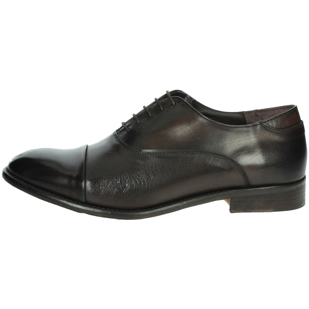 Veni  1V003  Hnědá