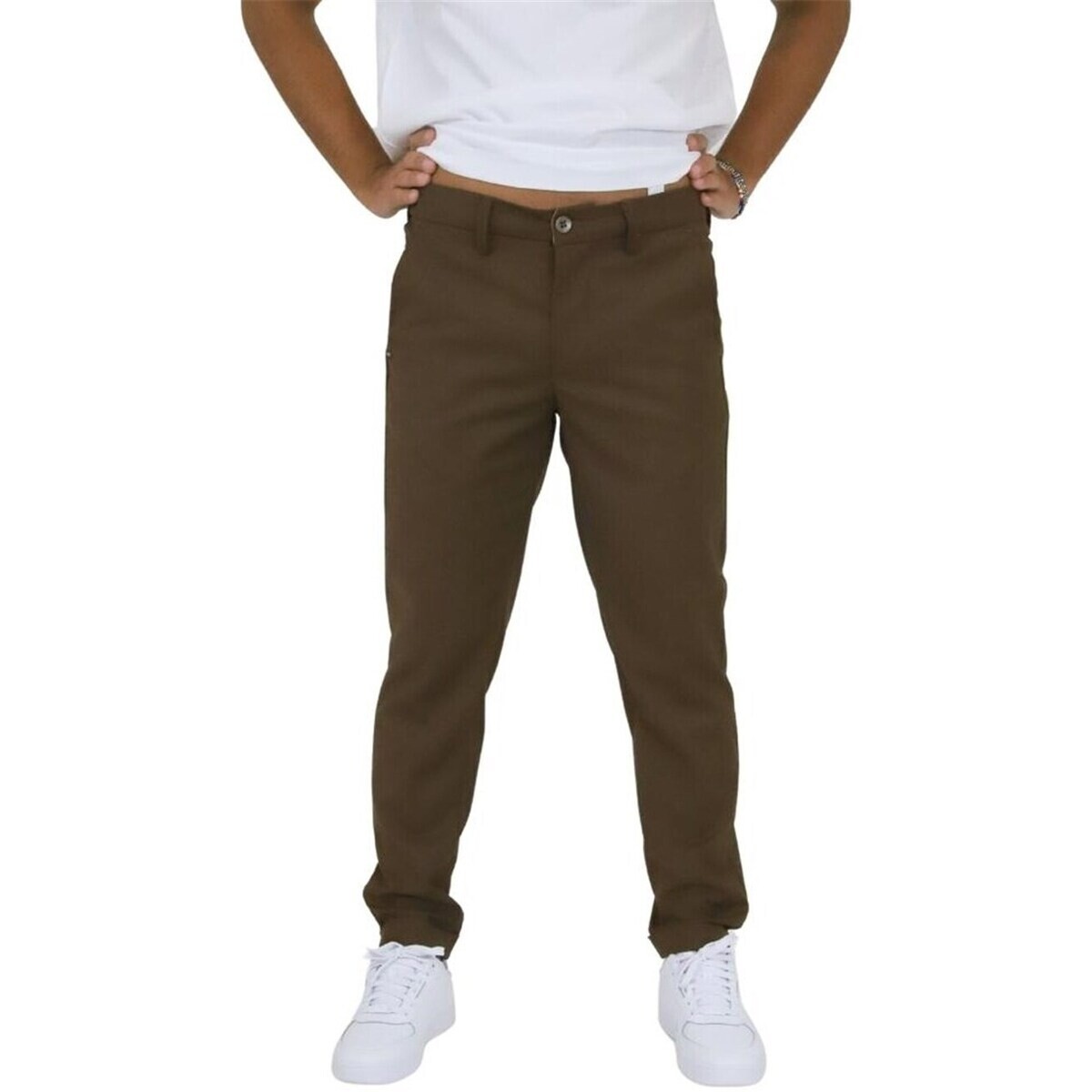 Hyps  MOLFETTA 06  Hnědá