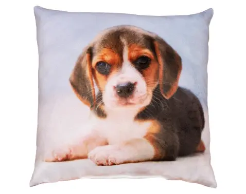 Dekorační polštářek Bígl, 25x25 cm