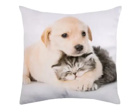 Dekorační polštářek Pejsek s kočičkou, 25x25 cm