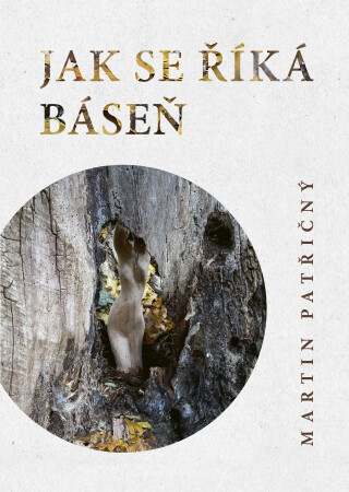 Jak se říká kniha - Martin Patřičný - e-kniha