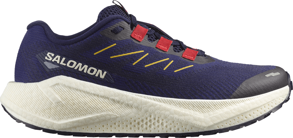 Běžecké boty Salomon AERO BLAZE 3 GRVL