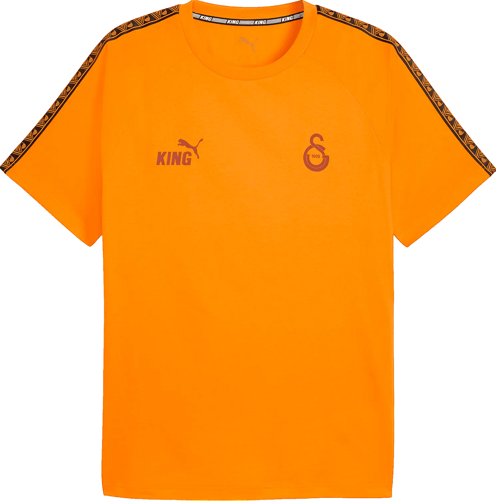Triko Puma  Galatasaray Istanbul King T-Shirt