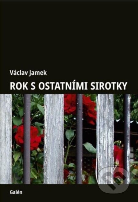 Rok s ostatními sirotky - Václav Jamek
