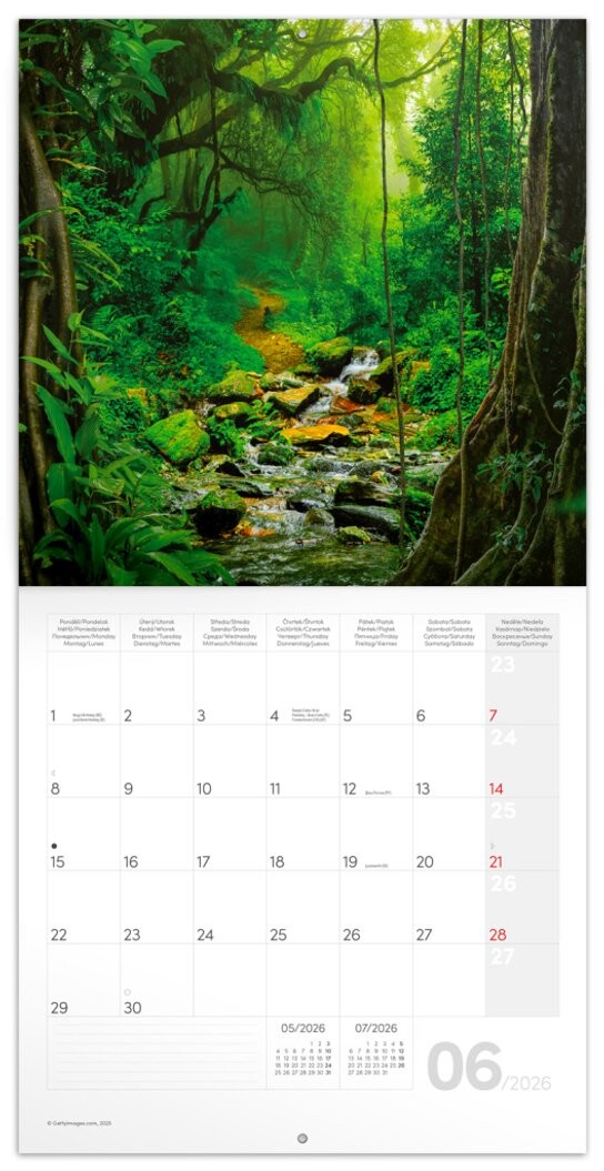 Deštné prales 2026 - nástěnný kalendář