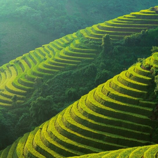 Naše Planeta 2026 - nástěnný kalendář