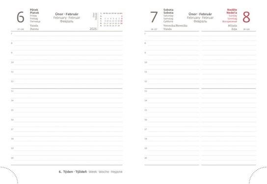 Denní diář 2026 B6 Print Pop růžový