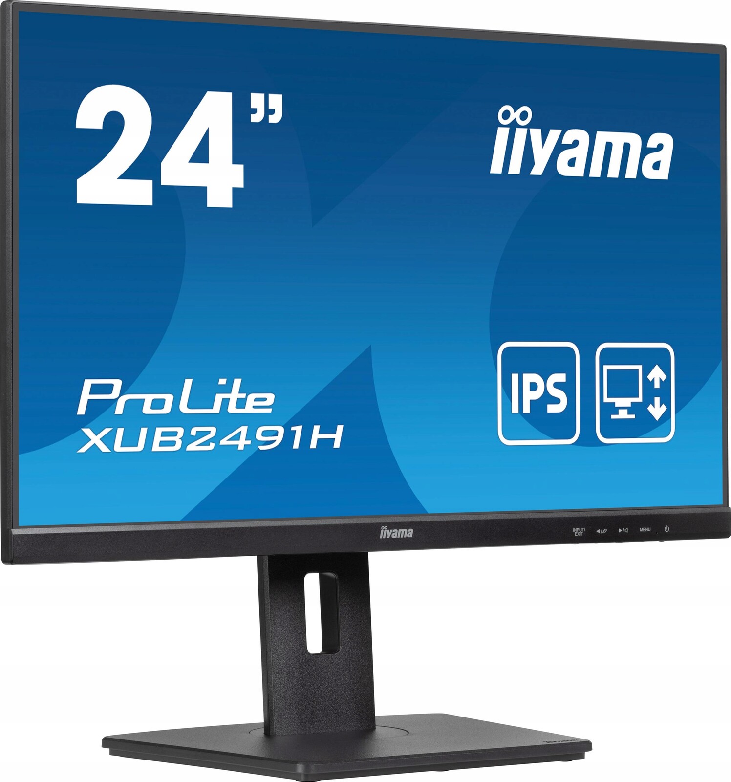 Led monitor Iiyama XUB2491H-B1