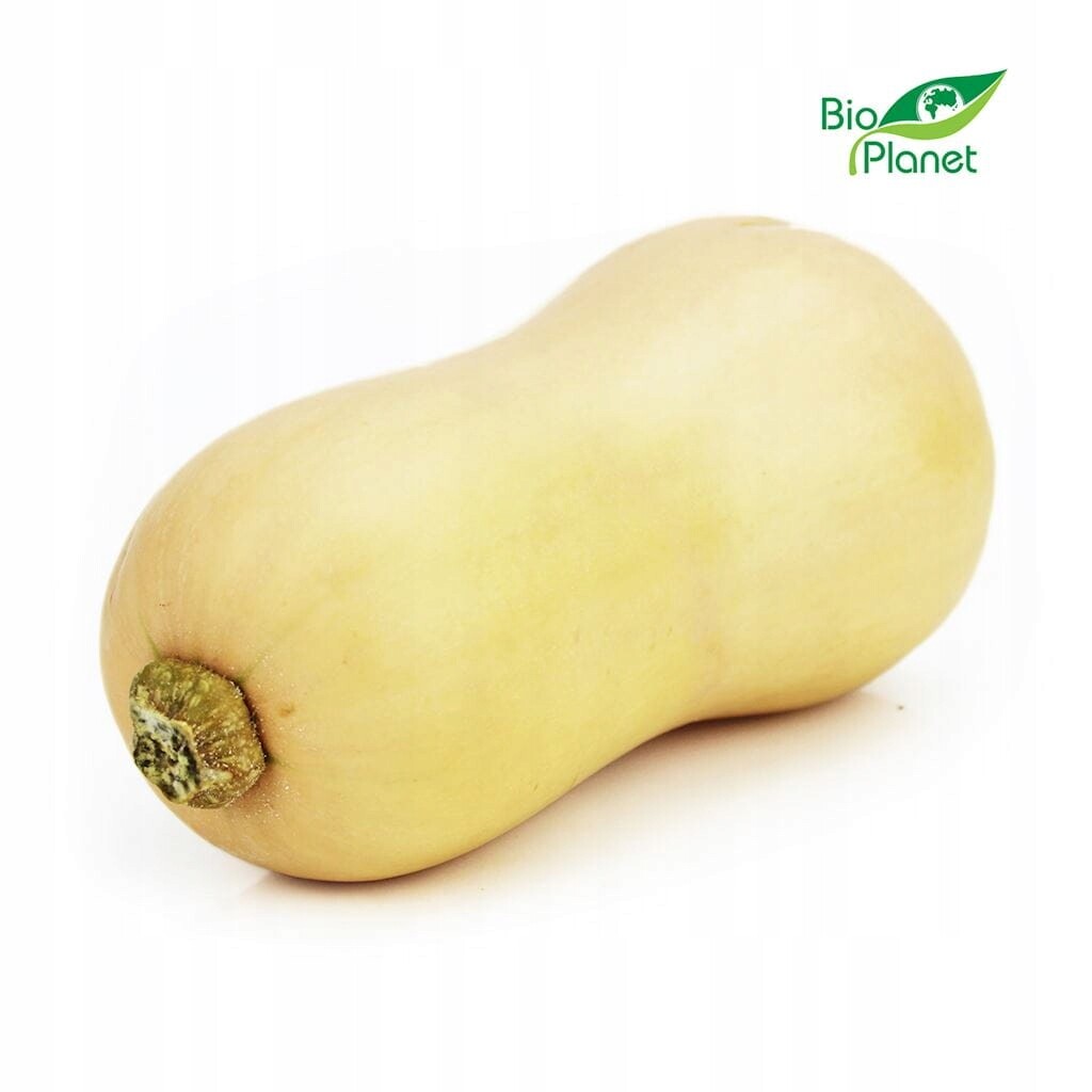 Pižmová dýně (butternut) čerstvá bio (asi 10 kg)