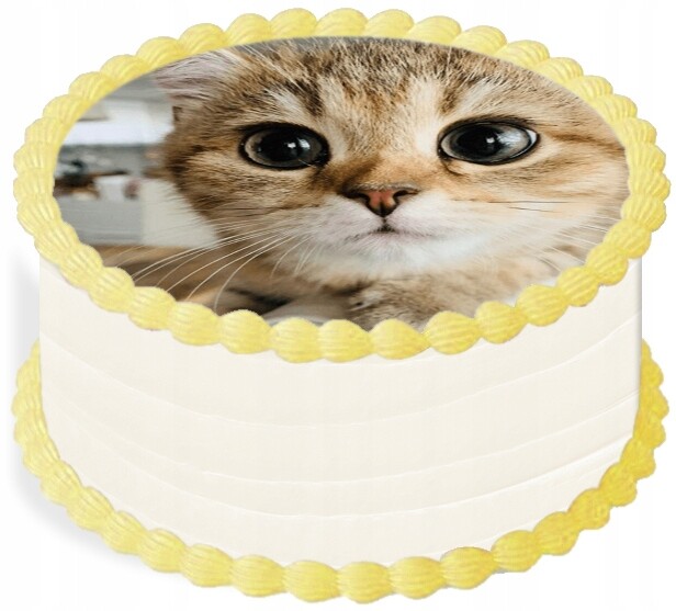 oplatek na dort 20 cm Zvířata Kočka Narozeniny