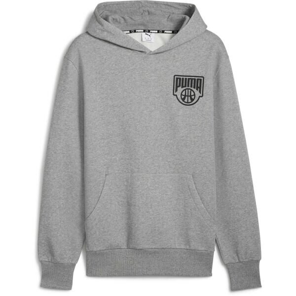 Puma POSTERIZE HOODIE Pánská mikina, šedá, velikost