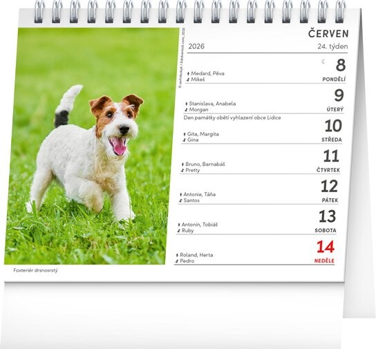 Psi 2026 - stolní kalendář