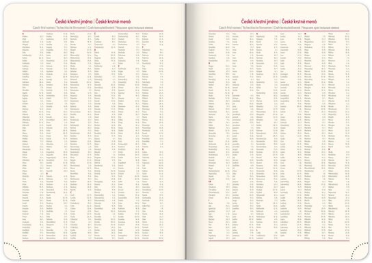 Denní diář 2026 Twill černo-zlatý