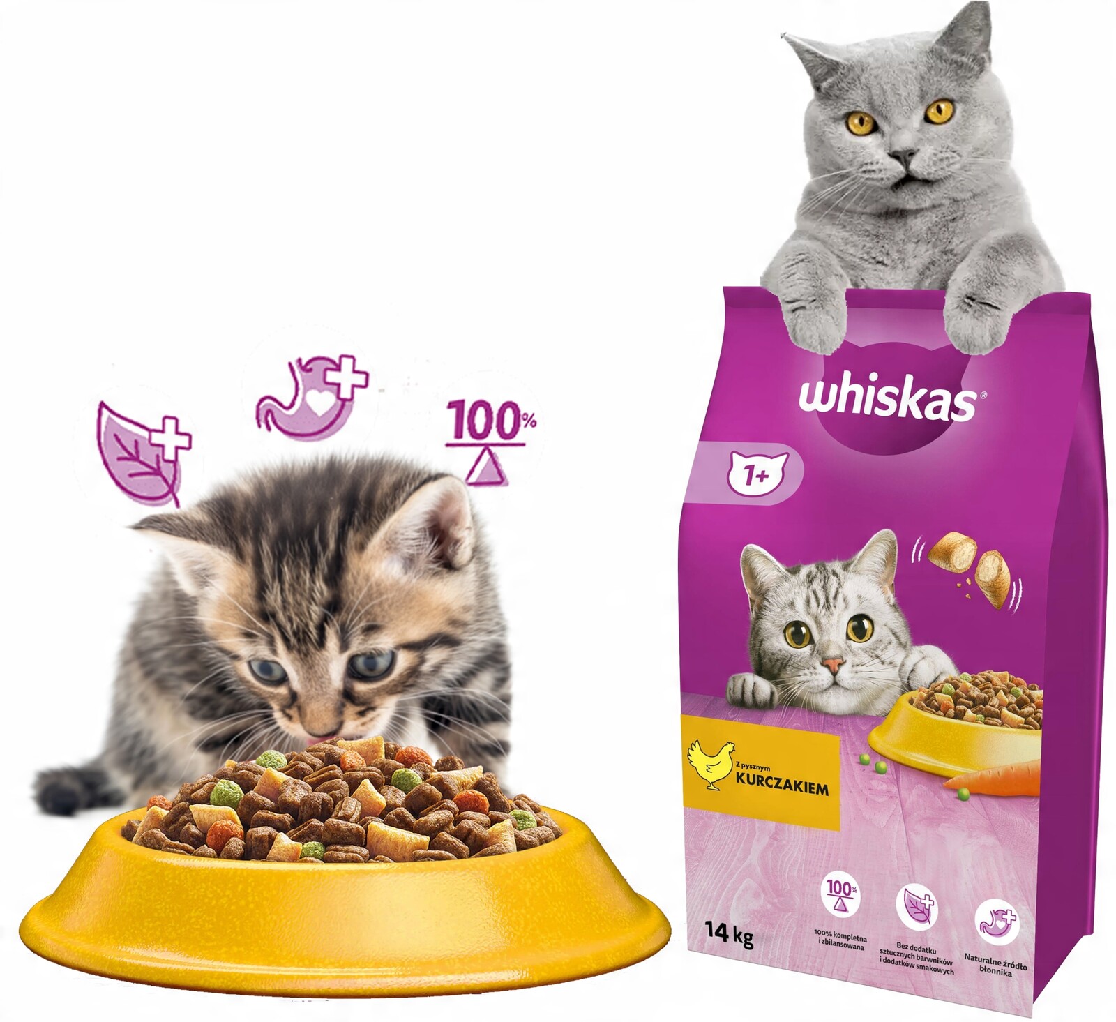 Whiskas Suché Krmivo Pro Kočky s kuřecím masem Vysoká kvalita Vitamín A 14 kg