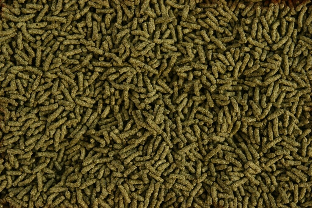 Krmivo Pro Ryby Algen Sticks Tyčinky Se Spirulinou 1 Kg Glopex