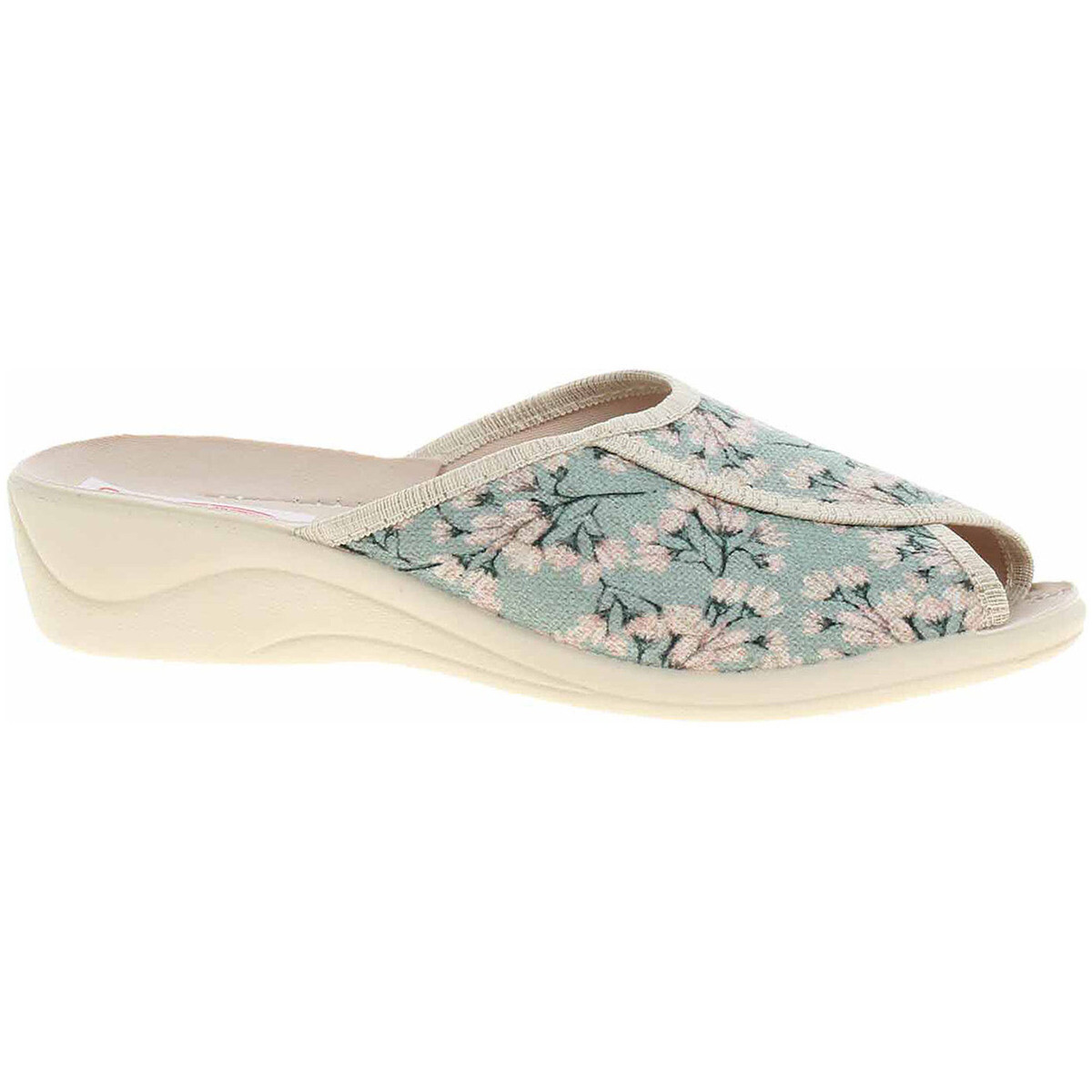 Rejnok Dovoz  Dámské domácí pantofle Rogallo 29541 modrá  Modrá