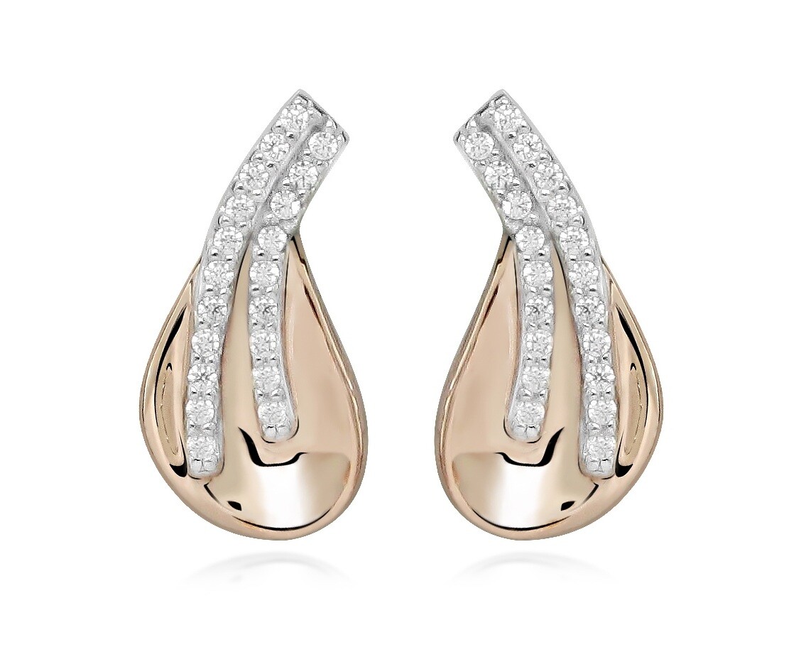 Silver Cat Stylové stříbrné náušnice se zirkony Bicolor SC607