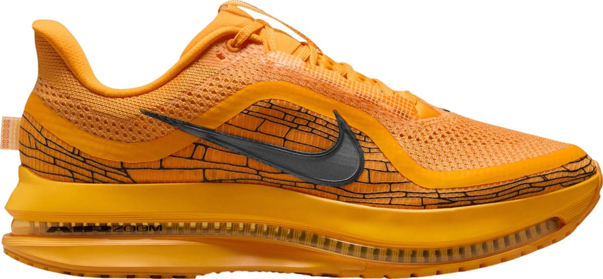 Běžecké boty Nike Pegasus Premium LV8