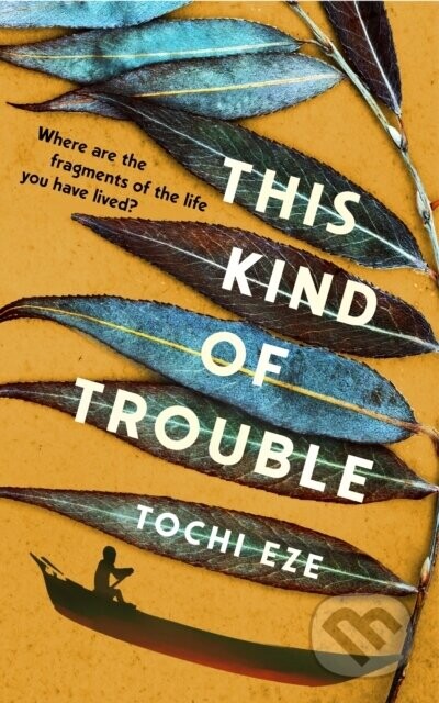 This Kind of Trouble - Tochi Eze