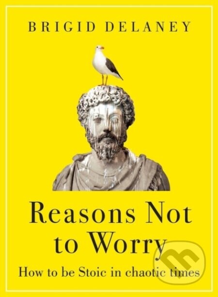 Reasons Not to Worry - Brigid Delaney