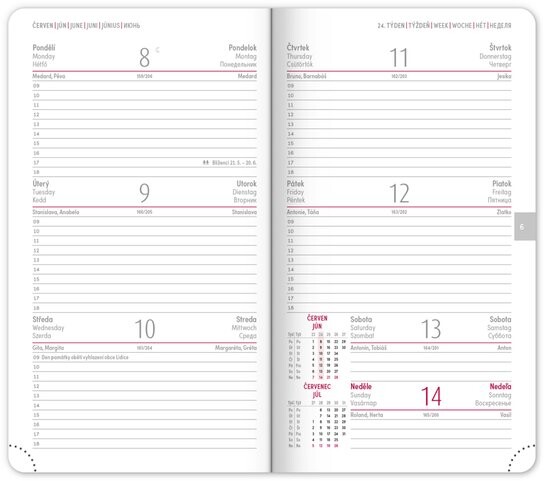 Kapesní diář Ajax 2026 černý