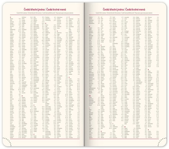 Kapesní diář Diamante 2026 olivový