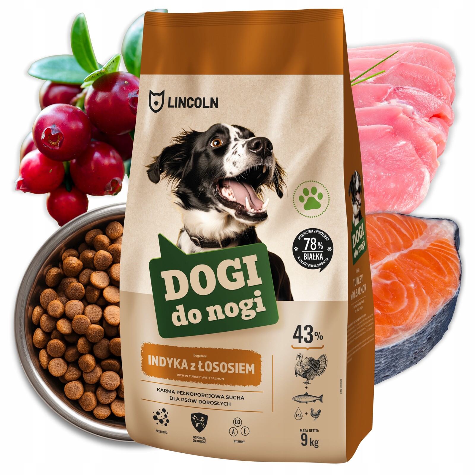 Krmivo pro psa Lincoln 9 kg Suchá Krůta s lososem Lesklá srst Středně velká