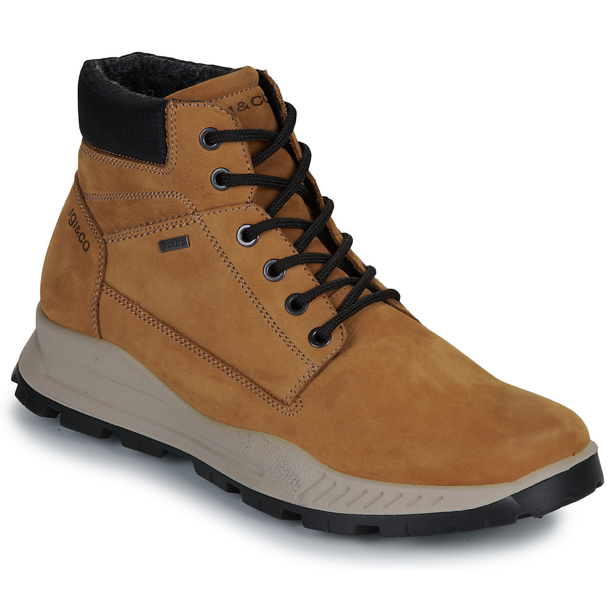 IgI&CO  U.ELOY GTX  Hnědá