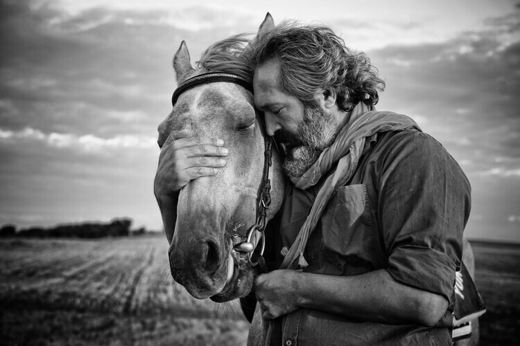 Gilcan Mete Fotografie share sorrow, Gilcan Mete, 40 × 26.7 cm