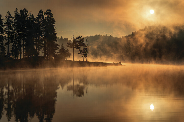 Alexander Alexandrov Fotografie Sunny morning, Alexander Alexandrov, 40 × 26.7 cm