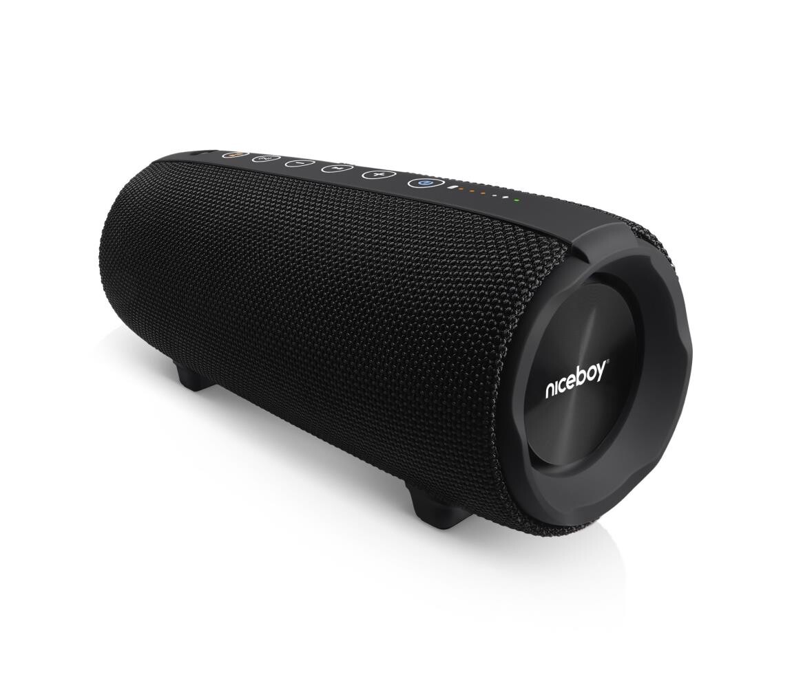 Niceboy Niceboy Titan 4 - LED Bezdrátový reproduktor s mikrofonem 50W/4000mAh IPX7 černá