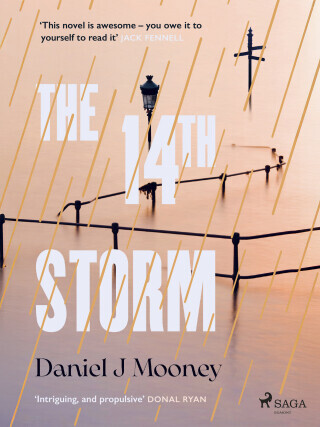 The 14th Storm - Daniel J Mooney - e-kniha