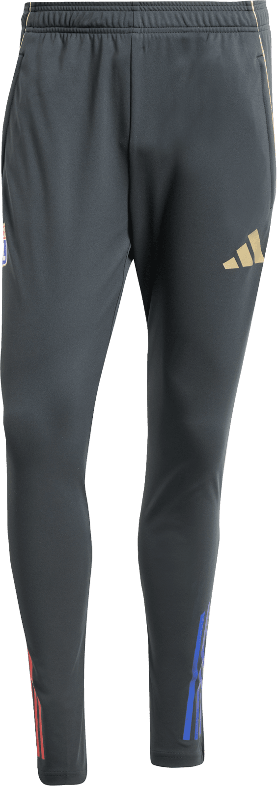 Kalhoty adidas OL TR PNT 2025/26