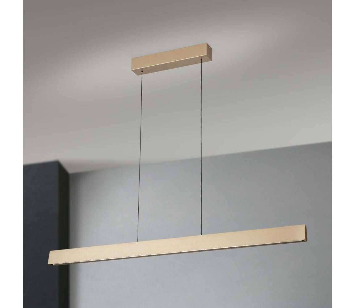 Orion Orion HL 6-1716/120 - LED Stmívatelný lustr na lanku TARA LED/44W/230V zlatá