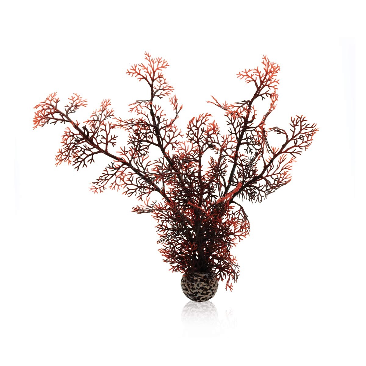 biOrb tmavě červený rohový korál M