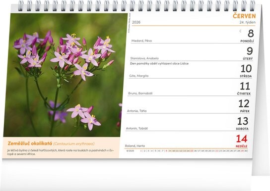 Přírodní lékárna 2026 - stolní kalendář