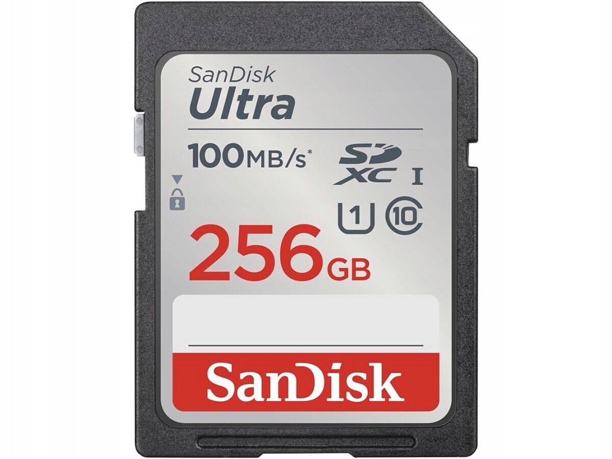Sandisk 256 Gb Sdxc Class 10 Ultra 100 Mb UHS-1
