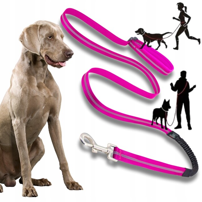 Vodítko pro psa s tlumičem Adventure pro běhání, fialové 1,8M -L
