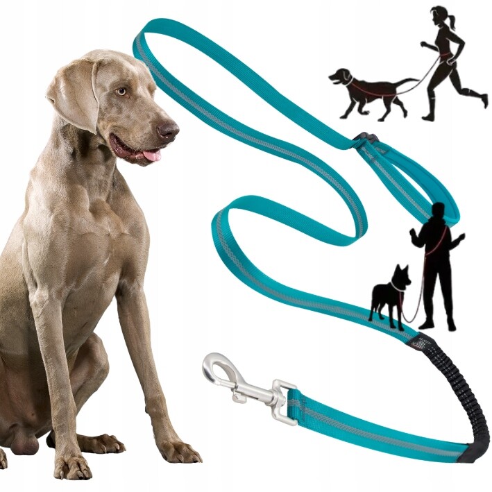 Vodítko pro psa s tlumičem Adventure pro běhání, tyrkysové, 1,8 cm L