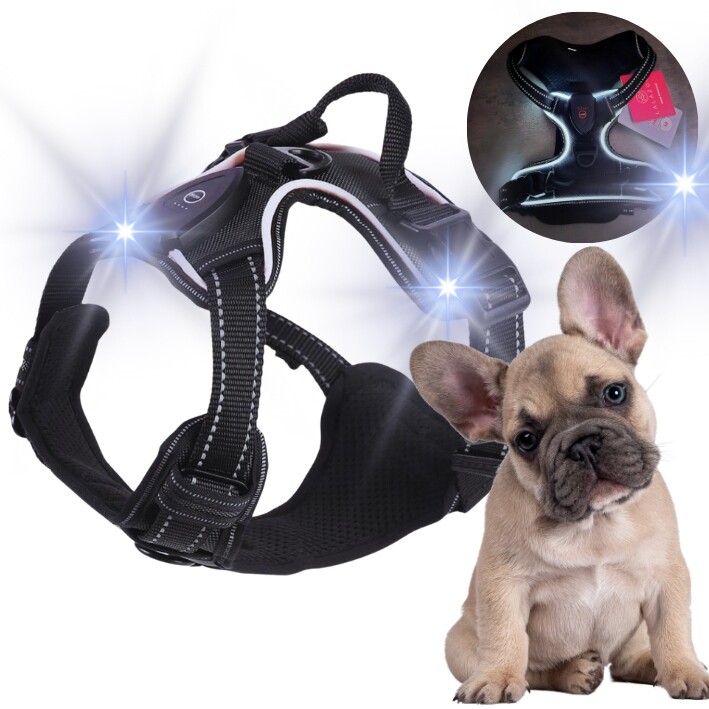 Led svítící obojek pro psa beztlakový Guard Paris černý vel M