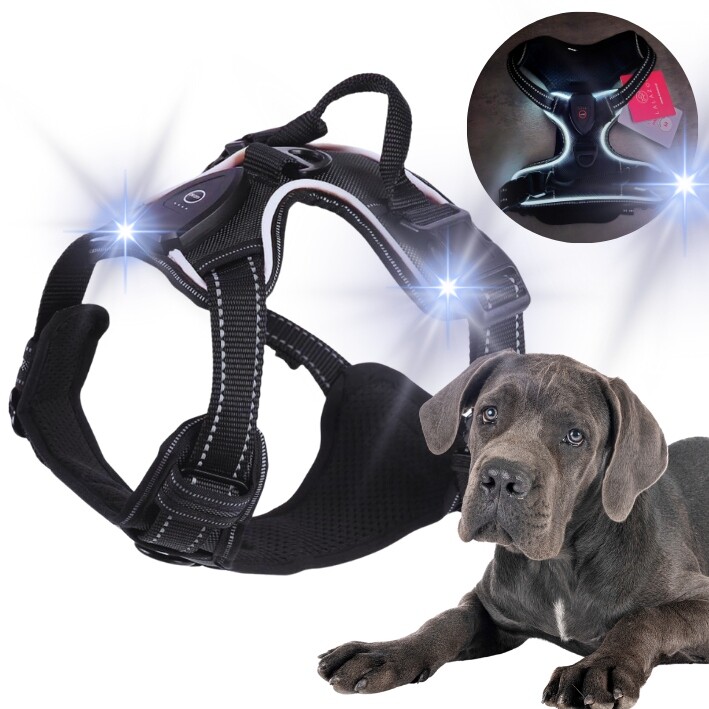 Led svítící postroj pro psa beztlakový Guard Paris černý vel L
