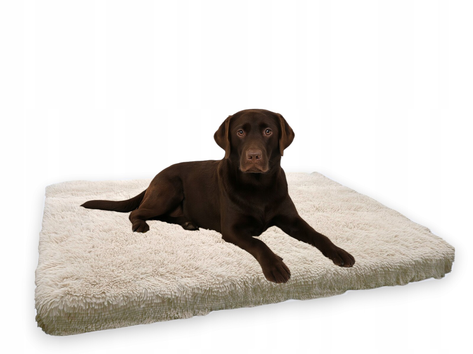 Pelíšek Matrace Pro Psa 120x80x7 cm. Velké Plyšové Lůžko Potah XXL Podložka