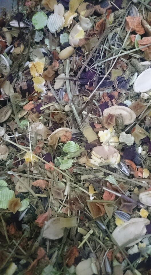 Kameleon Bylinná A Zeleninová Rarita Pro Hlodavce, sáček 10 kg