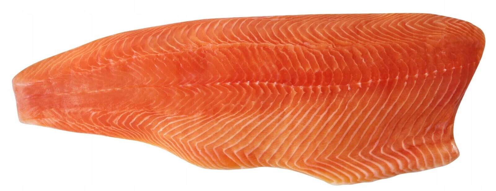 Losos filé uzený Salmo Salar mrazivý vacumové balení 1kg