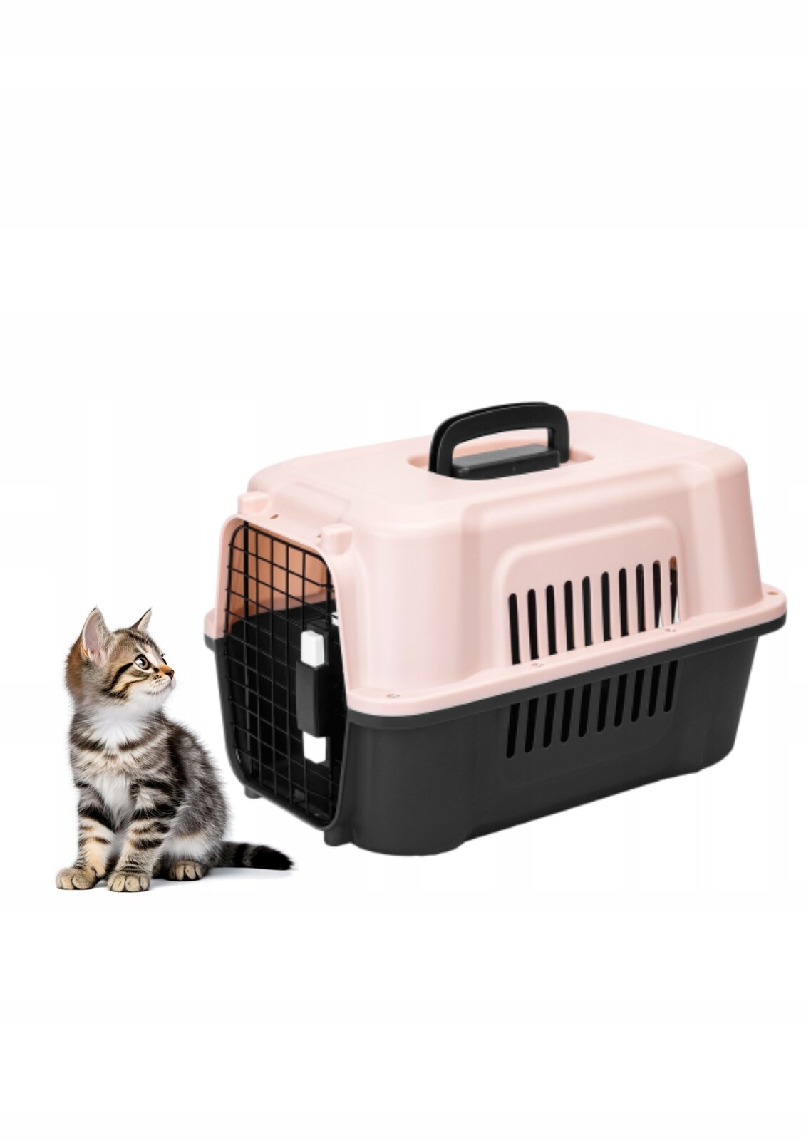 Přepravka Pevný Pro Kočky Psa Králíka Klec Kotec do 48 cm x 31 cm x 30 cm